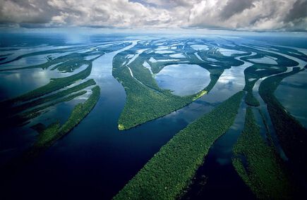 Os melhores Tabeliões no Amazonas